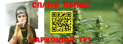 молекула духа Новодвинск