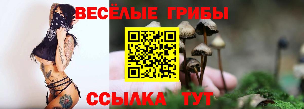 Удомля  где продают наркотики  Вход с VPN  Галлюциногенные грибы мухоморы  Галлюциногенные грибы ЛСД 